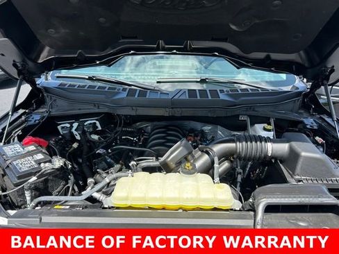 Used 2025 Ford F150 XLT w/ Equipment Group 301A Standard RWD image 11