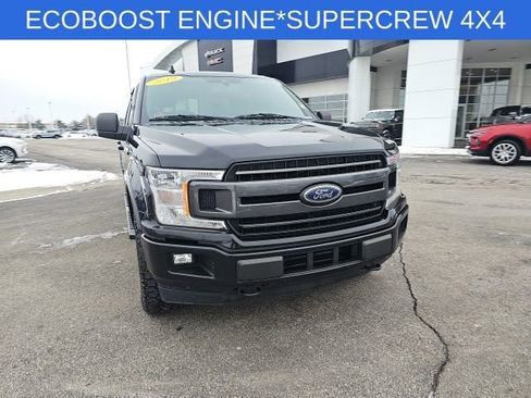 Used 2019 Ford F150 XLT w/ Equipment Group 302A Luxury image 4