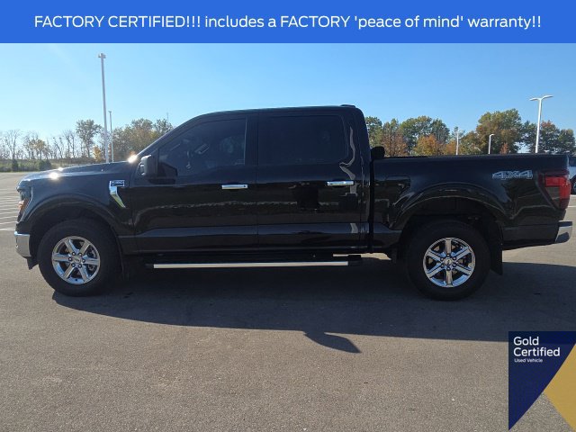 Used 2025 Ford F150 XLT w/ Equipment Group 301A Standard AWD/4WD image 13