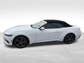 Used 2024 Ford Mustang Convertible RWD video 2