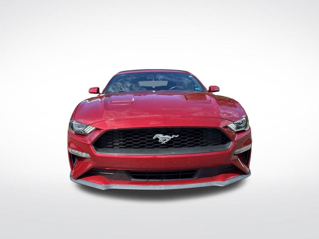 Used 2020 Ford Mustang Convertible w/ Equipment Group 101A RWD image 3