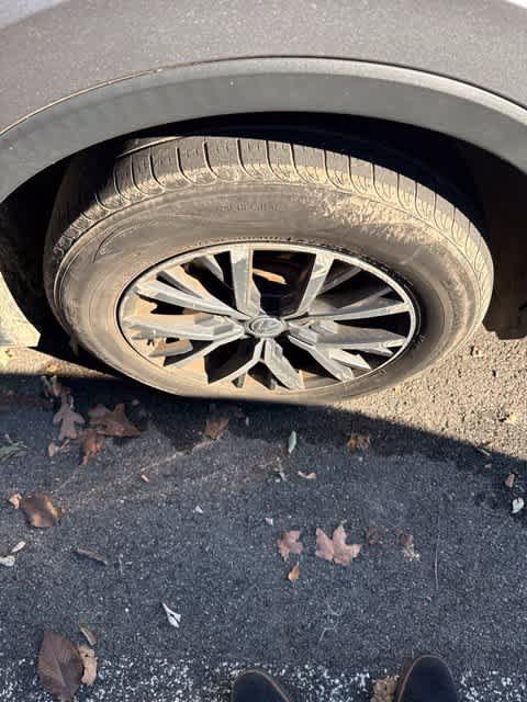 Used 2019 Volkswagen Tiguan SE w/ Panoramic Sunroof Package FWD image 4