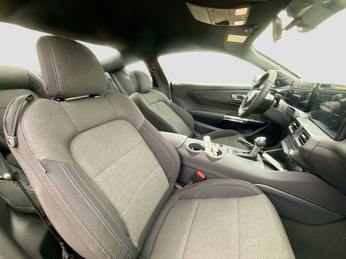 New 2026 Ford Mustang Coupe w/ Mustang Nite Pony Package image 28