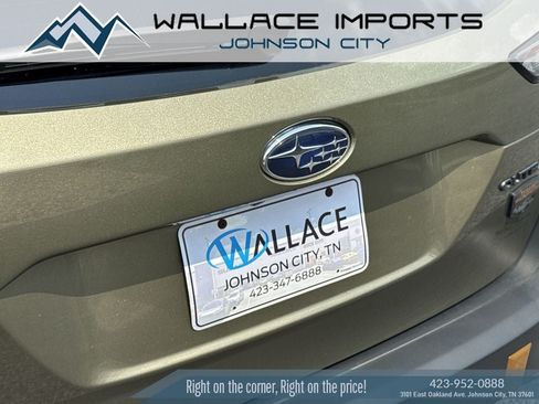 Used 2024 Subaru Outback Wilderness AWD/4WD image 1