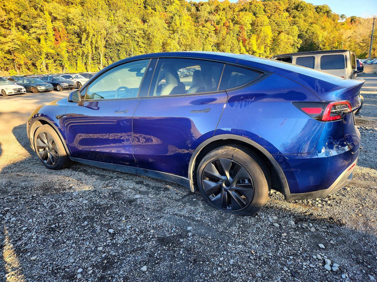 Used 2025 Tesla Model Y Long Range RWD image 3