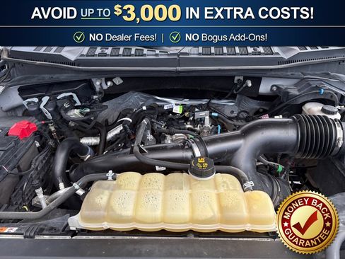 Used 2019 Ford F150 XLT w/ Equipment Group 302A Luxury AWD/4WD image 25