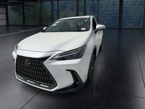 Certified 2024 Lexus NX 250 FWD w/ Cold Area Package image 4