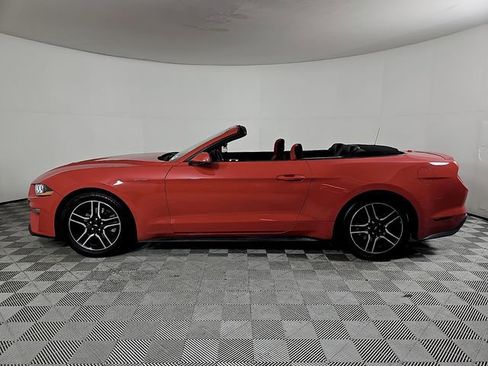 Used 2018 Ford Mustang Premium RWD image 7