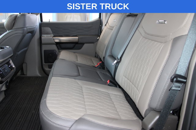 Used 2025 Ford F250 Platinum w/ Platinum Plus Package AWD/4WD image 29