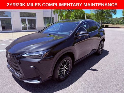 Certified 2024 Lexus NX 350 AWD image 3