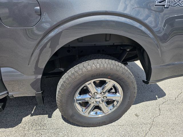Used 2025 Ford F150 XLT w/ Equipment Group 301A Standard AWD/4WD image 15
