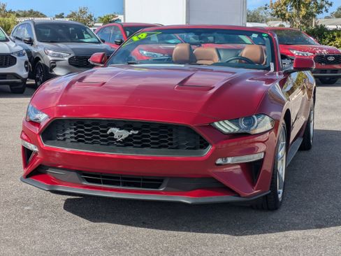 Used 2019 Ford Mustang Premium image 8