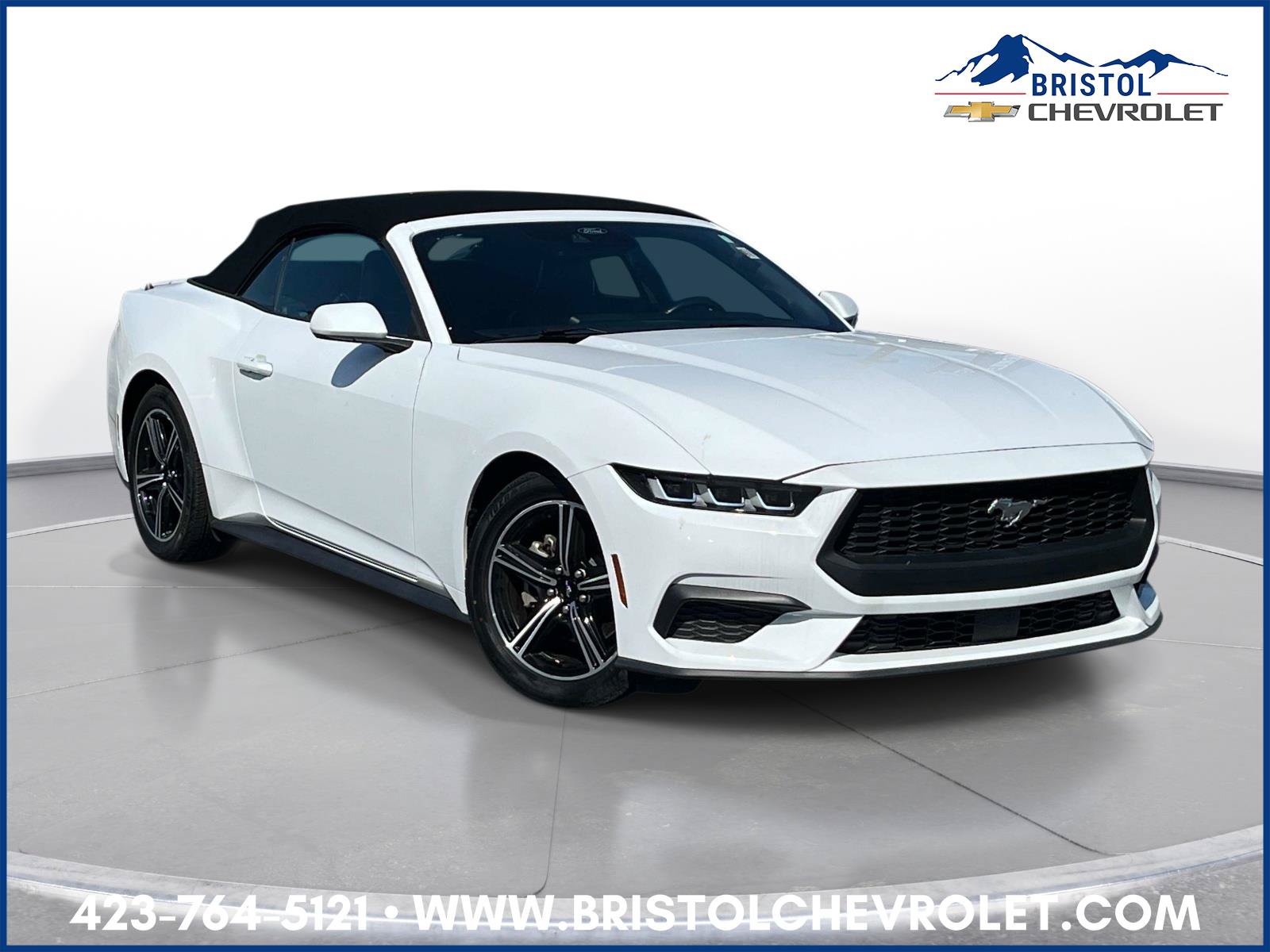 Used 2024 Ford Mustang Premium RWD image 1