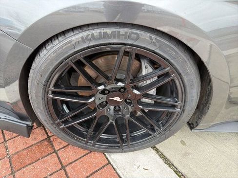 Used 2019 Ford Mustang GT Premium w/ Equipment Group 401A image 8