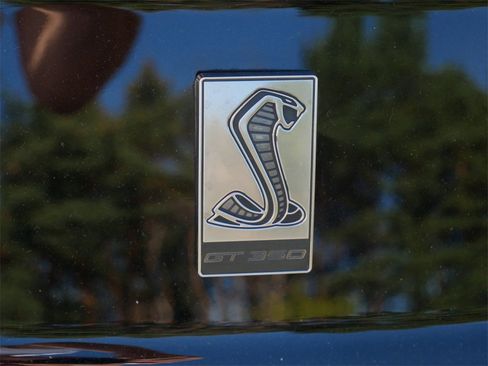 Certified 2017 Ford Mustang Shelby GT350 image 10