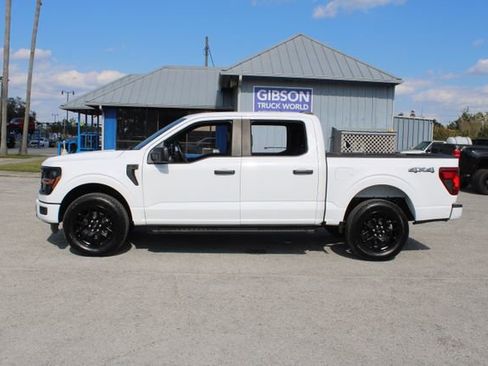 Used 2024 Ford F150 STX w/ STX Black Appearance Package image 6