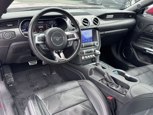 Used 2019 Ford Mustang Premium w/ Equipment Group 201A image 9