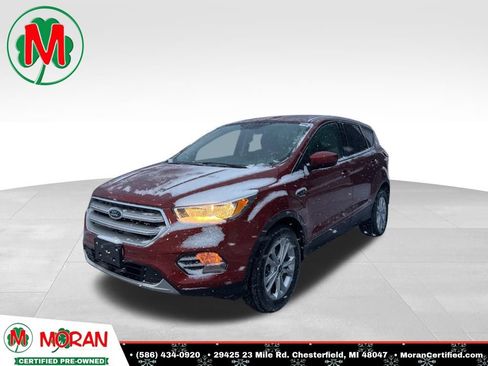 Used 2019 Ford Escape SE image 1