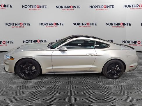 Used 2019 Ford Mustang Coupe w/ Equipment Group 101A image 3