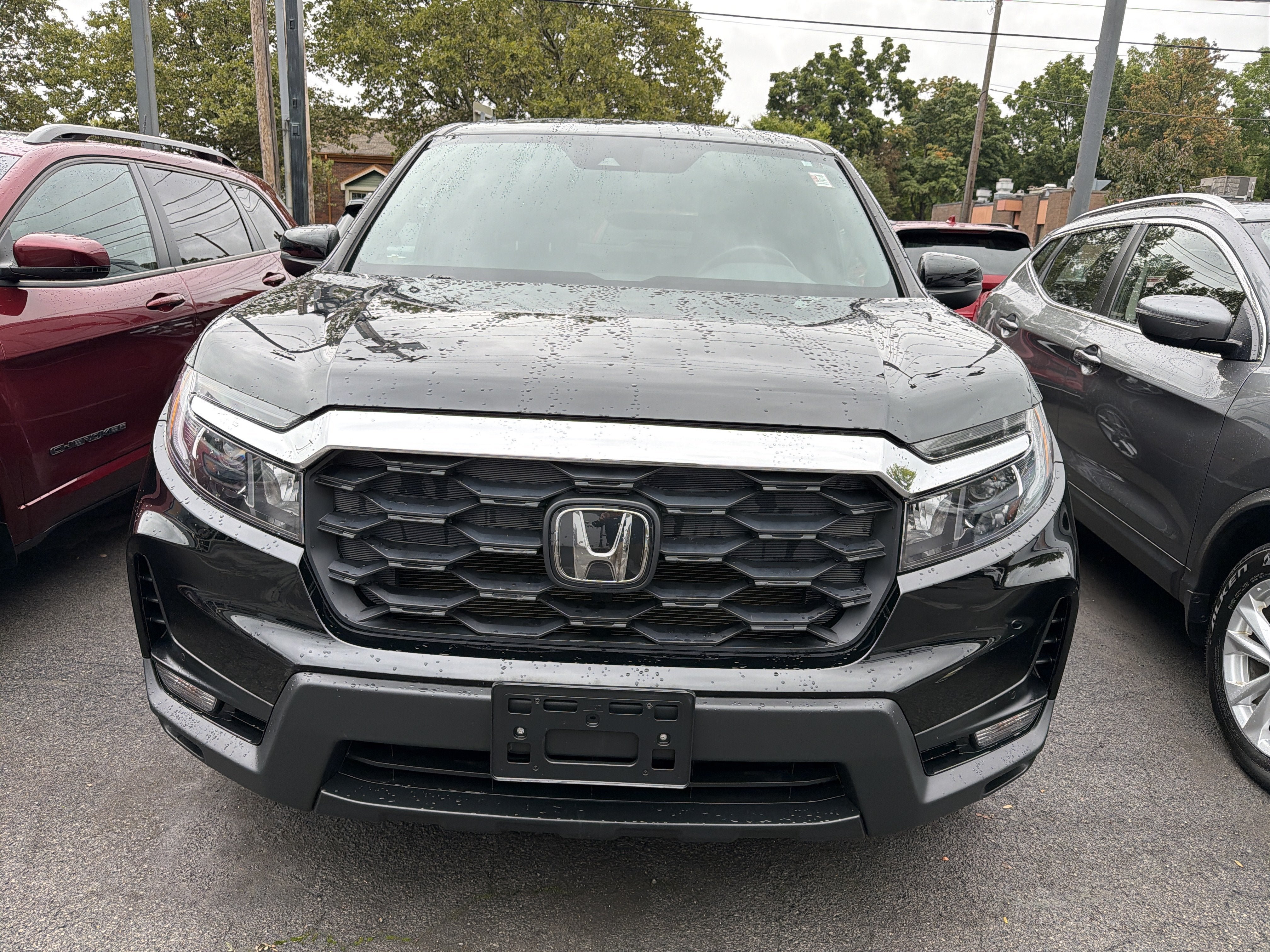 Used 2025 Honda Passport EX-L image 3