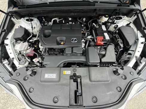 Used 2025 Lexus NX 250 250 Premium w/ Cold Area Package image 27