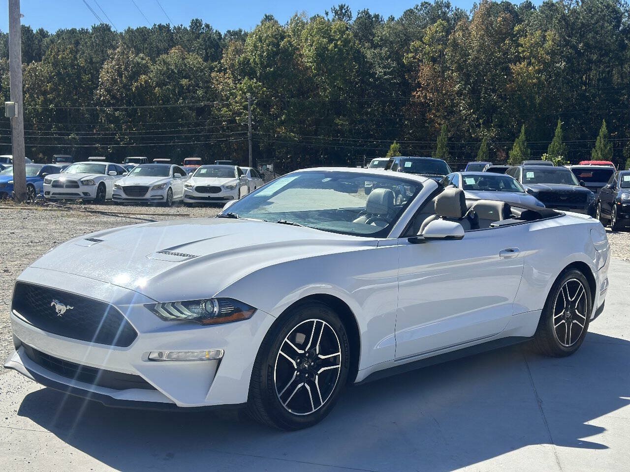 Used 2018 Ford Mustang Premium RWD image 3
