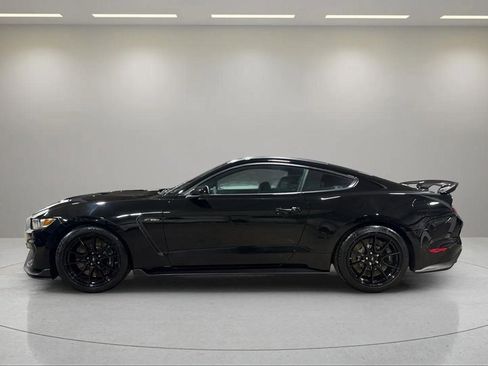Used 2019 Ford Mustang Shelby GT350 w/ Technology Package image 18