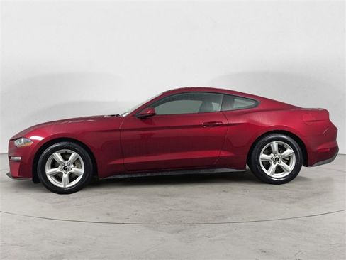 Used 2019 Ford Mustang Coupe image 2