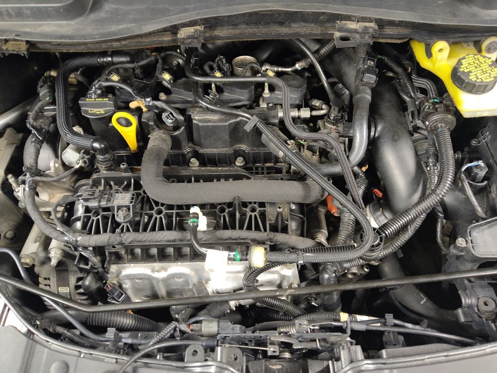 Used 2019 Ford Escape SE AWD/4WD image 30