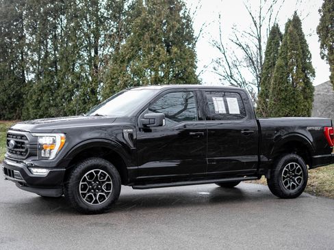 Used 2023 Ford F150 XLT w/ Equipment Group 302A High image 9