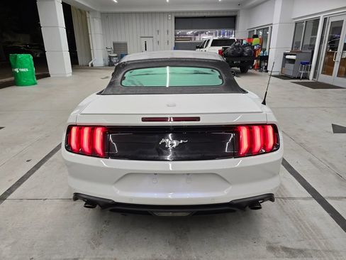 Used 2018 Ford Mustang Premium w/ Equipment Group 201A image 5