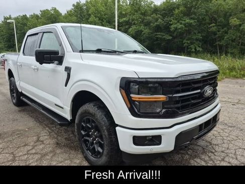 Used 2024 Ford F150 XLT w/ Equipment Group 302A MID AWD/4WD image 12