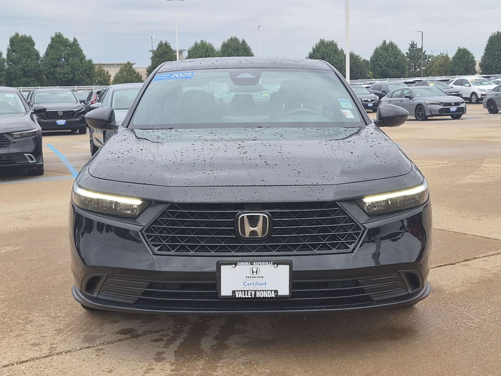 Used 2025 Honda Accord Sport image 3