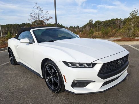 Used 2024 Ford Mustang Premium image 14