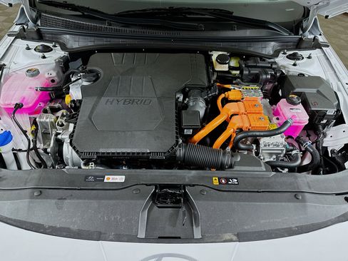 New 2025 Hyundai Elantra Limited image 31