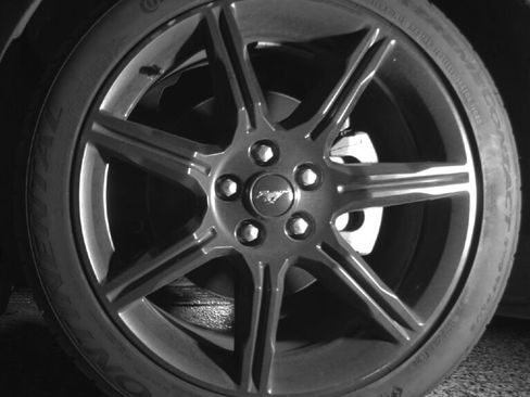 Used 2019 Ford Mustang Coupe w/ Equipment Group 101A image 9