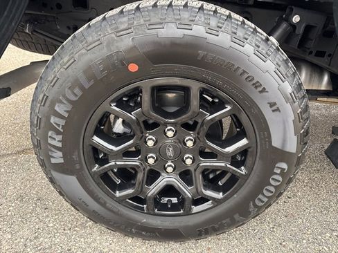 New 2025 Ford F150 XLT w/ Equipment Group 302A MID image 20