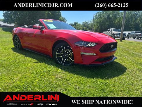 Used 2019 Ford Mustang Premium RWD image 1