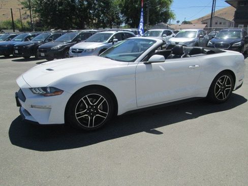 Used 2023 Ford Mustang Premium RWD image 3