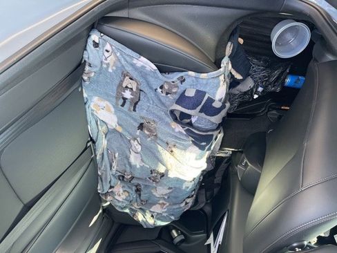 Used 2024 Honda Civic Touring image 10