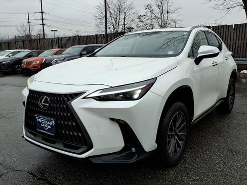 Certified 2024 Lexus NX 250 FWD w/ Cold Area Package image 3