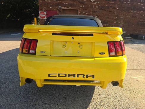 Used 2001 Ford Mustang Cobra RWD image 4