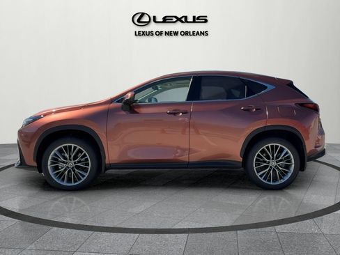 New 2026 Lexus NX 350 350 Luxury image 6