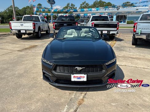 Used 2024 Ford Mustang Premium RWD image 4