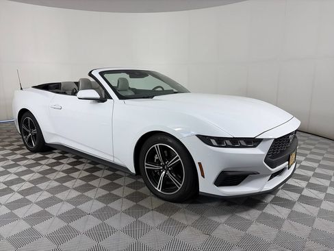 Used 2024 Ford Mustang Premium RWD image 1