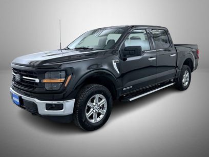 Used 2025 Ford F150 XLT w/ Equipment Group 301A Standard