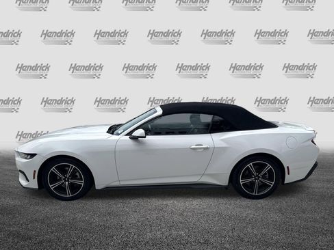 Used 2024 Ford Mustang Premium RWD image 30