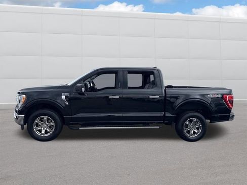 Used 2023 Ford F150 XLT w/ Equipment Group 302A High image 2