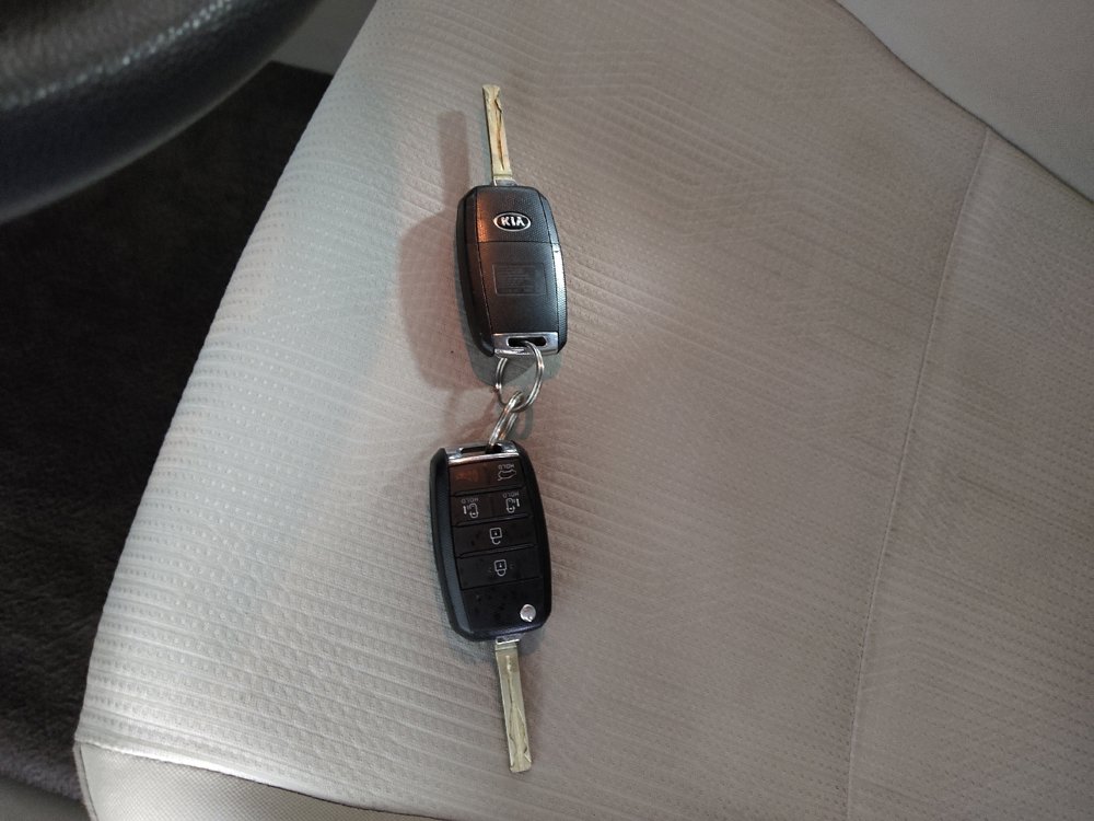 Used 2019 Kia Sedona LX FWD image 32