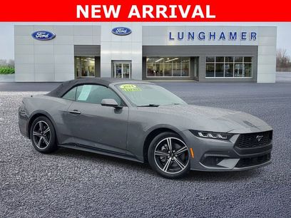 Used 2024 Ford Mustang Premium
